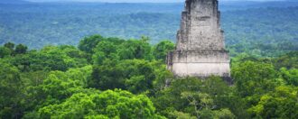 The lush green canopy with ancient Mayan ruins raising from the trees in Tikal, Guatemala