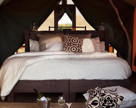 sal salis wilderness tent bedroom