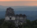 Mayan ruins of Tikal in Guatemala peeking through the forest canopy at sunset