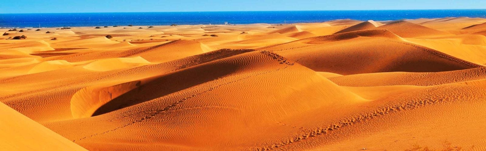 Desert landscape, Gran Canaria, The Canary Islands, Spain