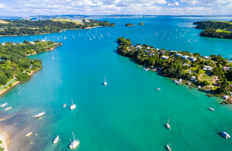 putaki-bay-waiheki-islan