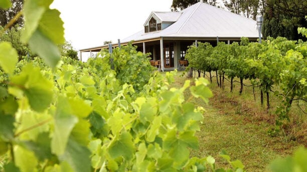 Spicers Vineyards in New South Wales