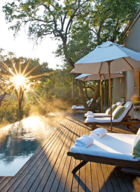 Sunset at the Royal Malewane, South Africa.