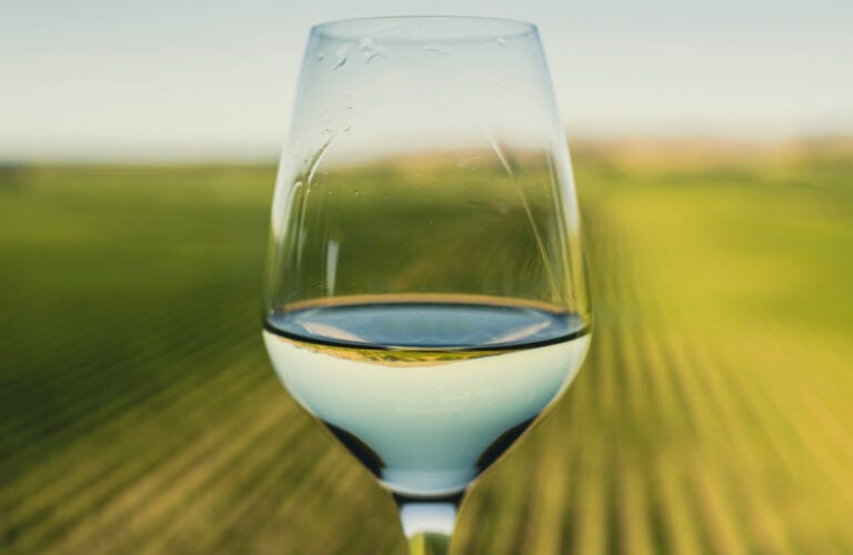 Wine glass at a vineyard in Marlborough, New Zealand