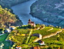 Landscape in Douro Valley, Portugal