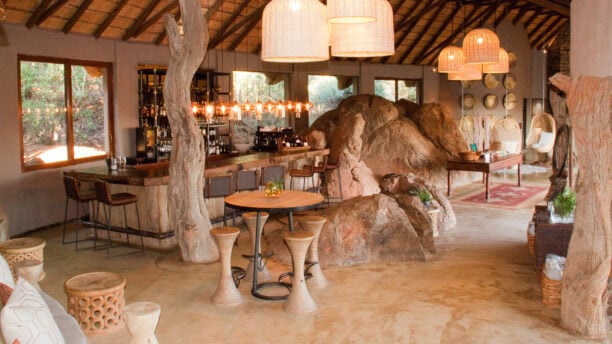 madikwe-hills-bar