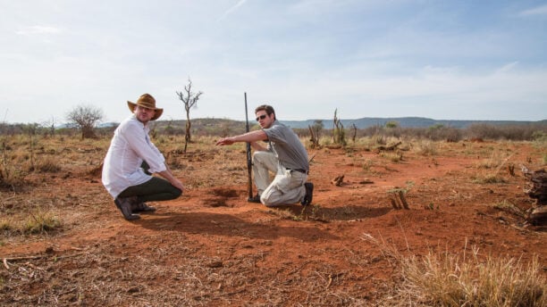 madikwe-hills-tracking