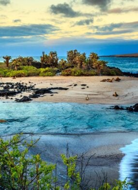 galapagos-islands