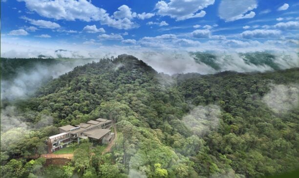 cloud-forest-ecuador-mashpi-lodge