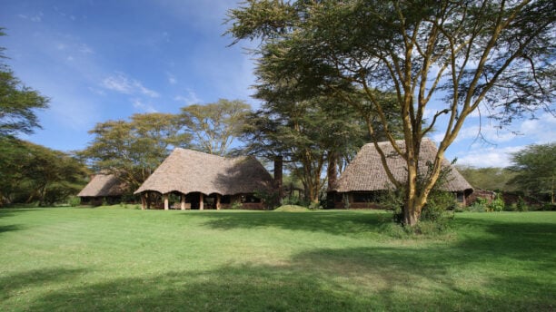 Family Safari To Kenya's Pridelands 