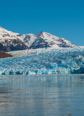 Grey Glacier Torres del Paine