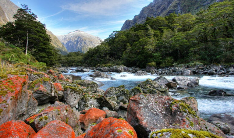 Hollyford-Valley1