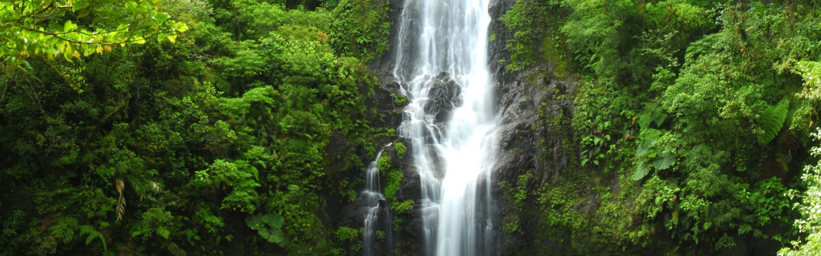 El Silencio - Luxury Lodge In The Central Cloud Forests | Jacada Travel