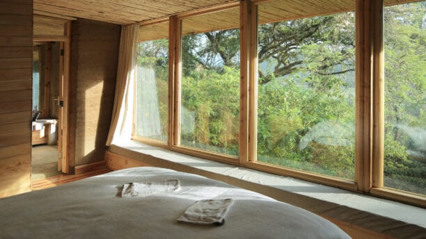 Limalomo Lodge room forest