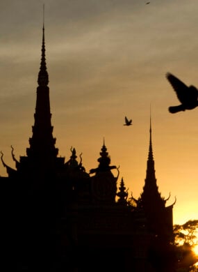 pigeons-phnom-penh-sunset