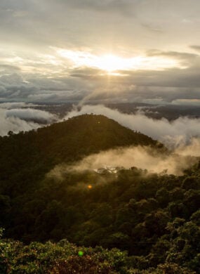 mashpi-lodge-cloud-forests-ecuador