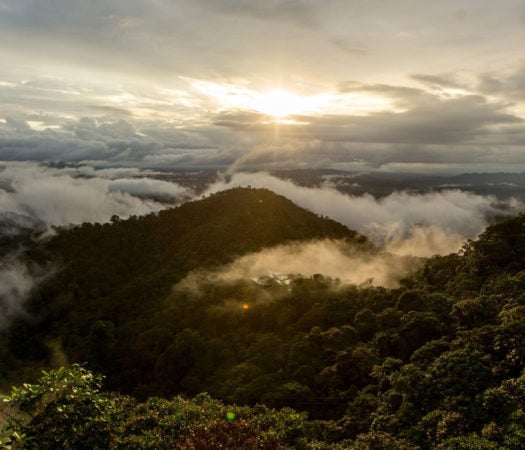 mashpi-lodge-cloud-forests-ecuador