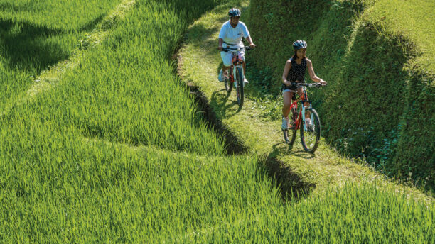 four-seasons-ubud-cycling