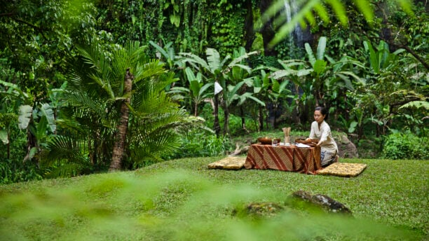 como-shambhala-estate-picnic