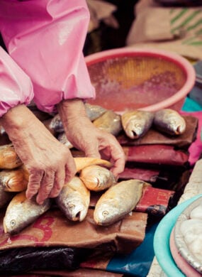 jagalchi-fish-market-busan-south-korea