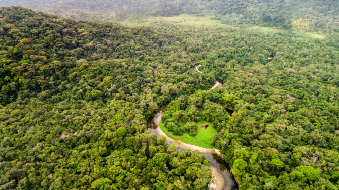 colombia-amazon-aerial