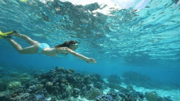 diving-moorea-french-polynesia