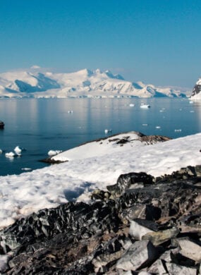 antarctica-view-penguins