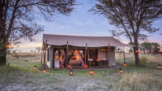 legendary-serengeti-camp-tanzania