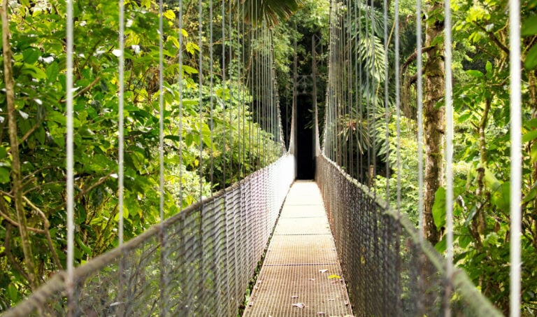 hanging-bridge-mistico-arenal-costa-rica