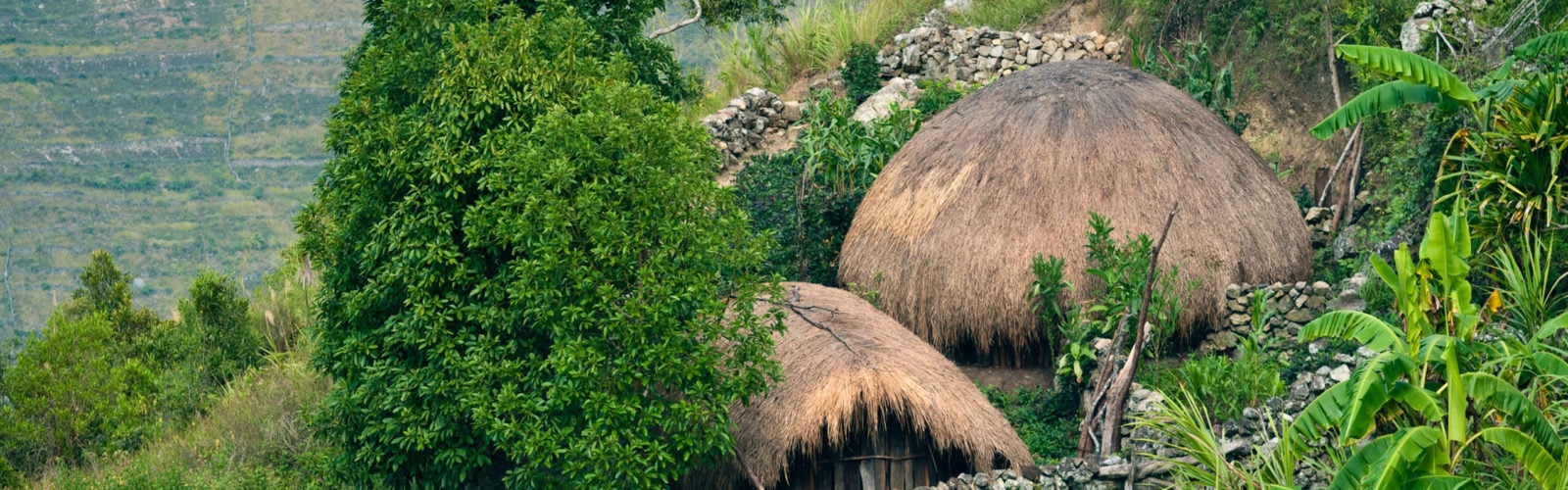 traditional-huts-papua-new-guinea