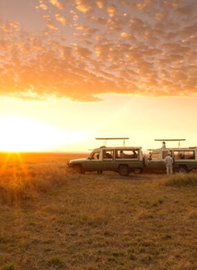 serengeti-safari-camp-game-drive