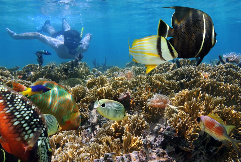 costa rica snorkelling