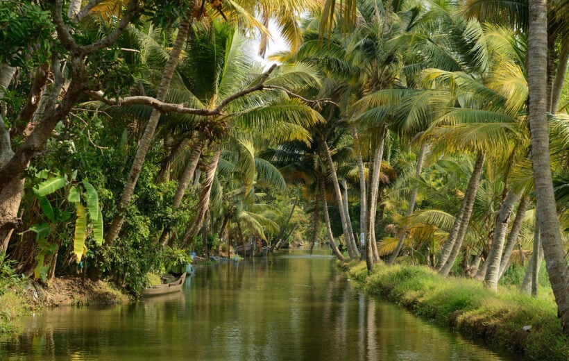 India, Coco trees reflection and beautiful house boat at back waters of Kerala