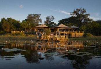 DumaTau is the perfect camp for elephant lovers