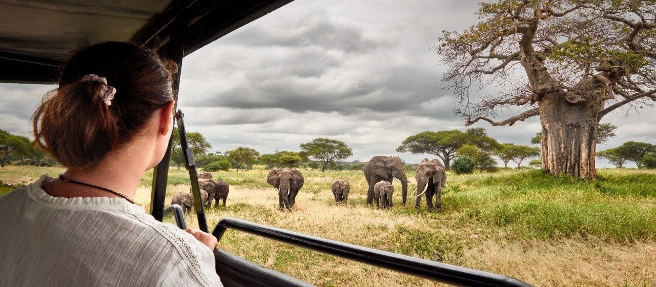 Our Ultimate Guide To The Best African Safari Jacada Travel