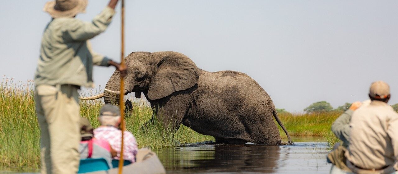 Safari travellers observe an elephant up close as they sit in a canoe