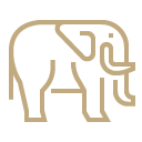 Gold elephant icon