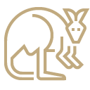 Vector art of a kangaroo drawn in bold gold lines