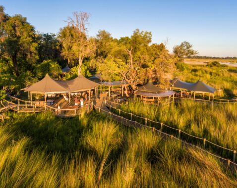 Aerial view of wilderness camp resort with wooden walkways and covered seating areas