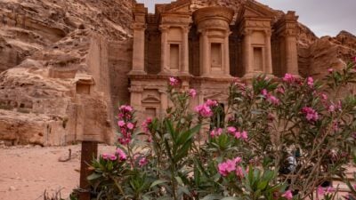 The Treasury building carved out of rock in the ancient city of Petra, with pink spring flowers in the foreground