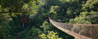 hanging bridges in Boquete