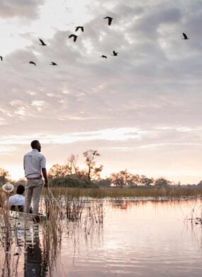 A man stands on a small boat steering a seated couple through calm waters, as birds fly overhead in soft early morning light