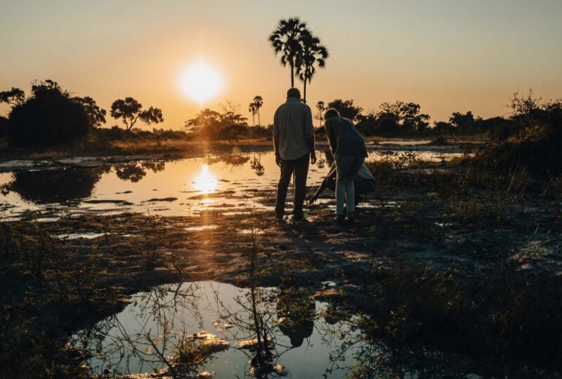 Embarking on an evening walking safari in the Okavango Delta, Botswana