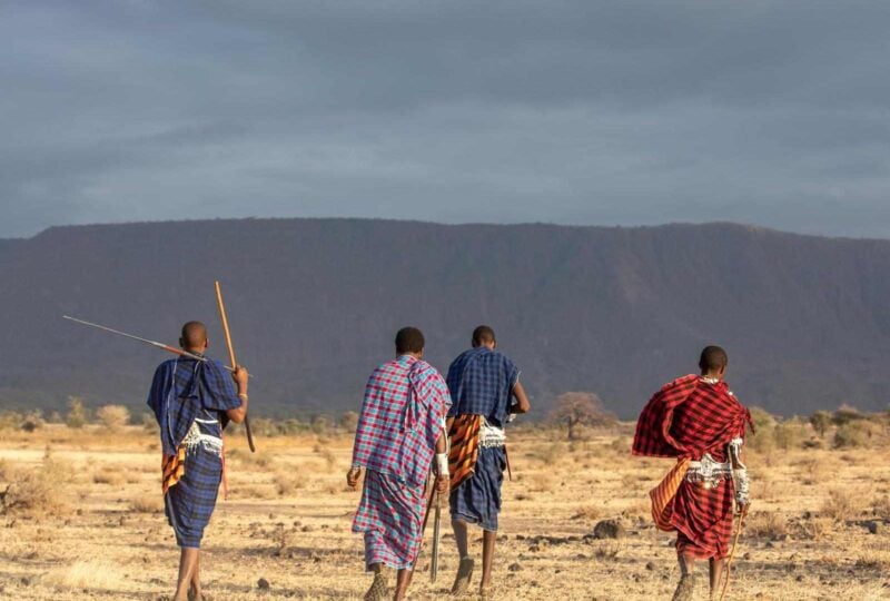 A small group of Maasai warriors in traditional dress walking through the savannah of the Maasai mara, Kenya.