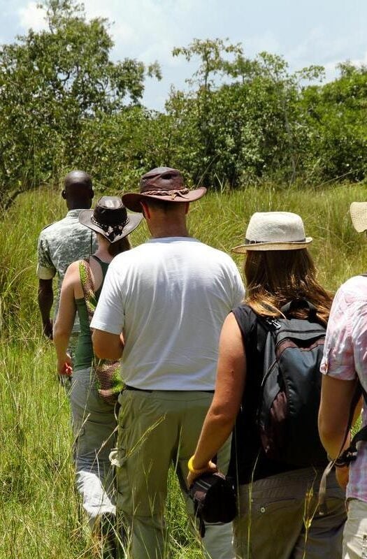 Travellers embarking on an adventure through the forest on a walking safari in Tanzania.