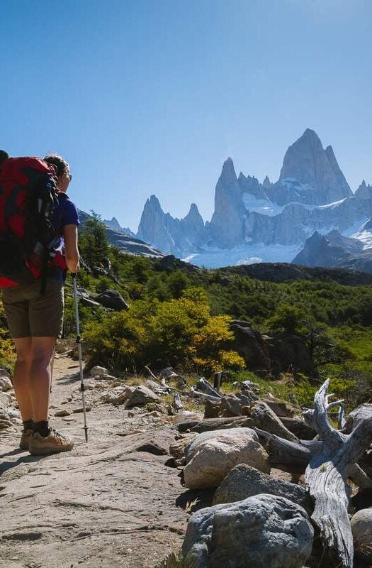 Mount Fitzroy Chalten Argentina