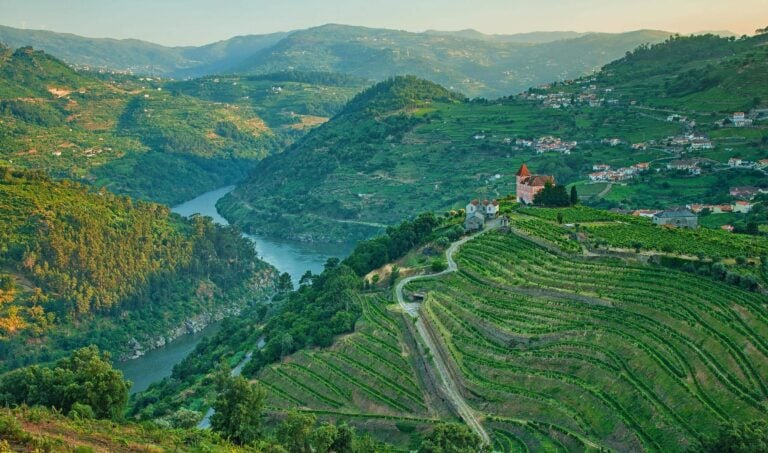 The rolling hills of the Douro valley