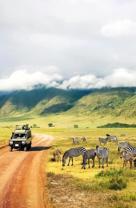 Safari in Ngorongoro Crater National park.