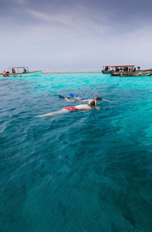 Zanzibar snorkeling