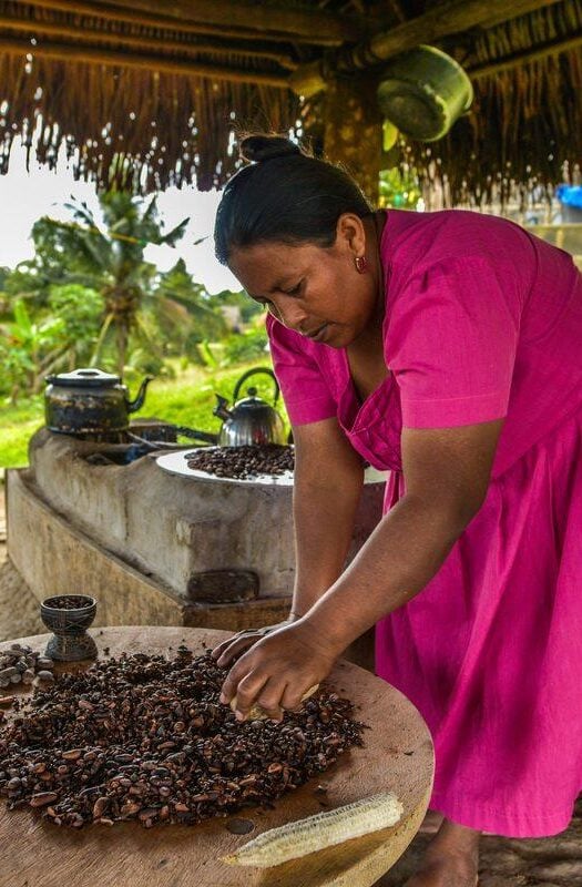 Belize Mayan chocolate experience